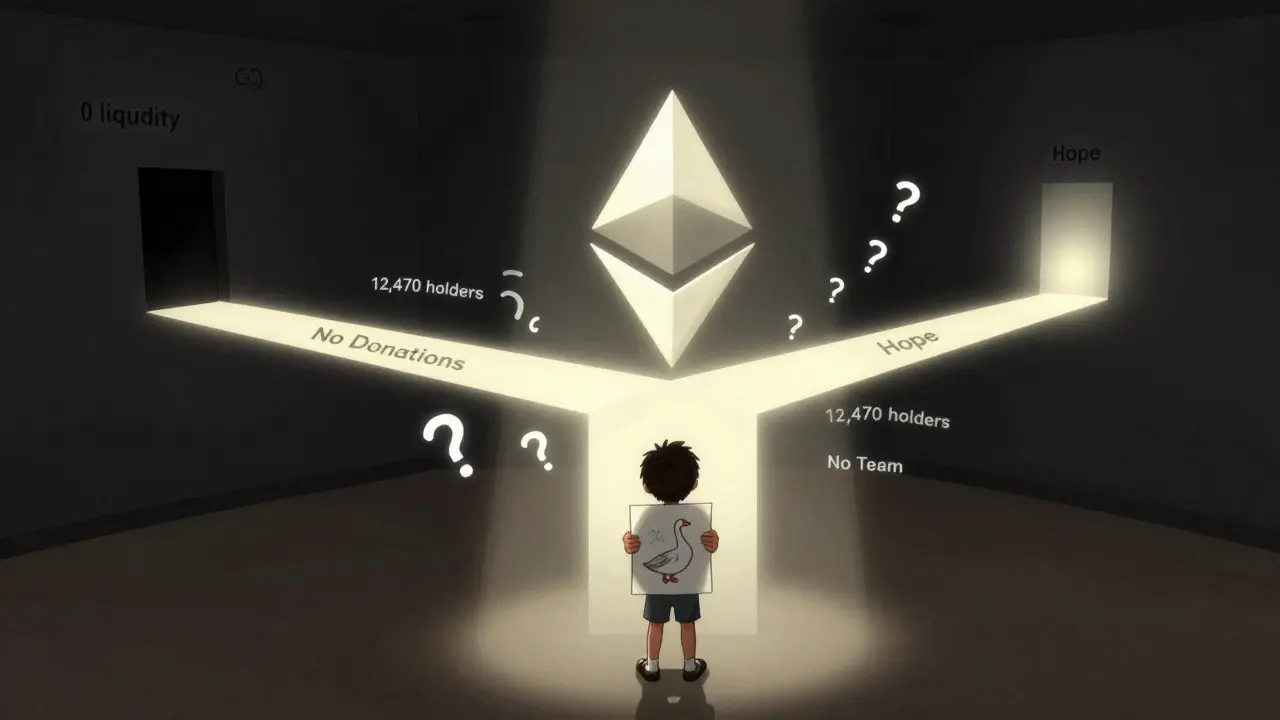 A child faces a blockchain split between darkness and distant hope, surrounded by cryptic warnings about DARAM's lack of transparency.